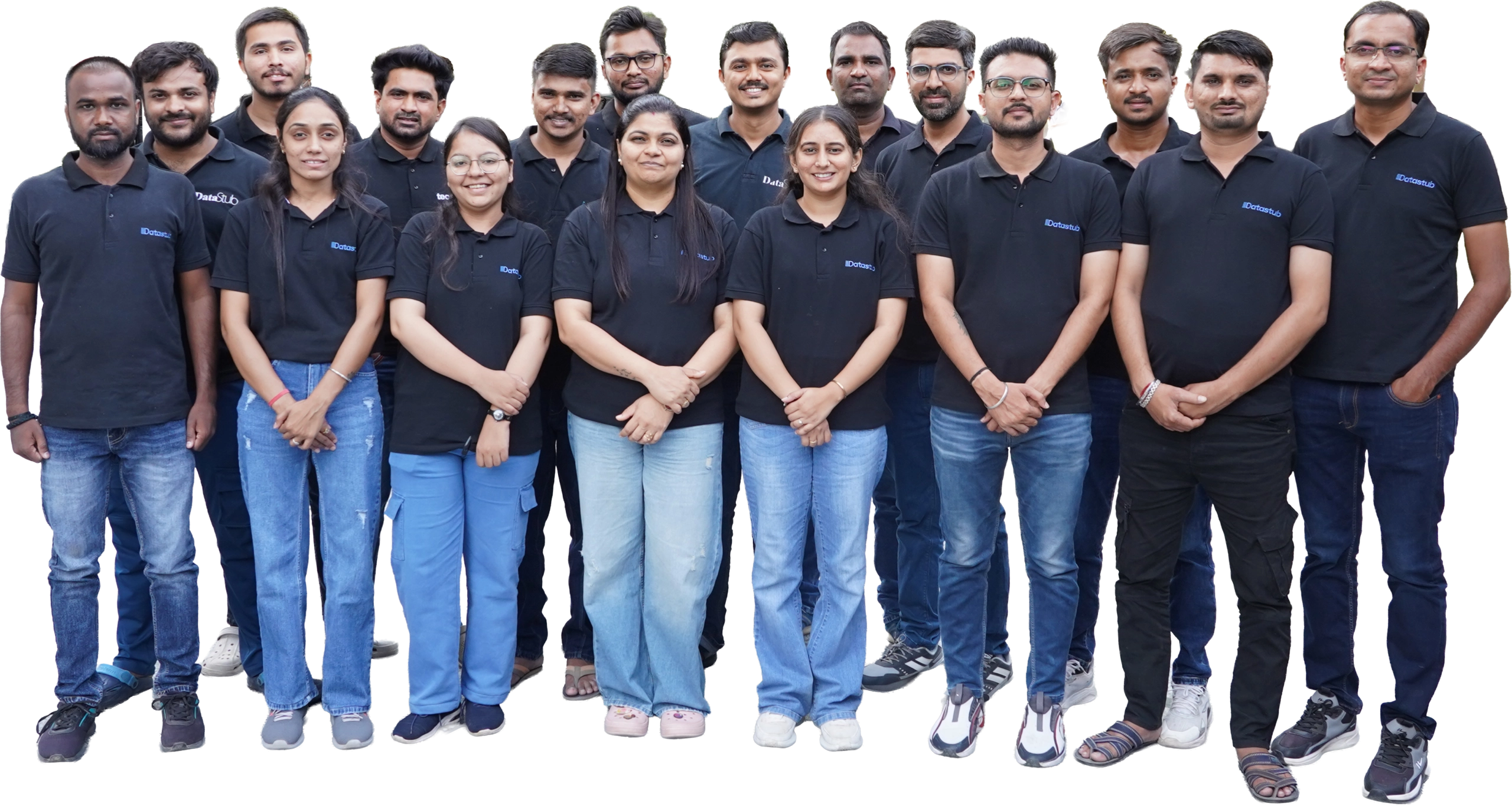 Datastub accounting professionals team