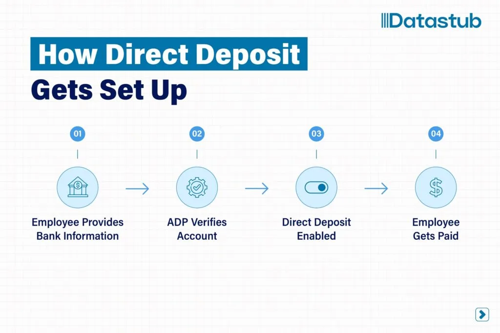 ADP Run payroll setup roadmap covering business information, employee details, pay rates, taxes, pay policies, direct deposit, and payroll reports